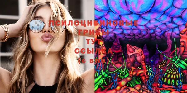 прущие крисы Белая Холуница