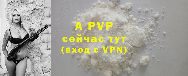 прущие грибы Майский