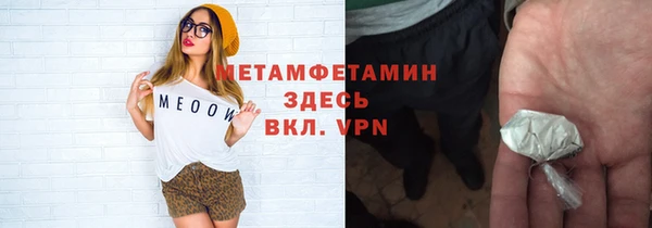 прущие грибы Мегион