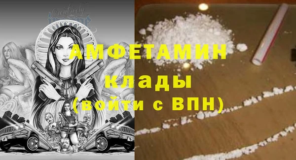 прущие грибы Мегион