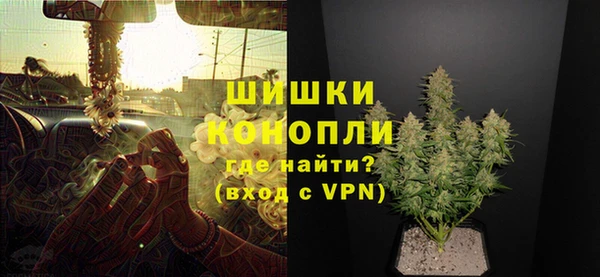 прущие грибы Майский
