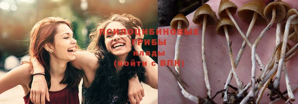 индика Бежецк