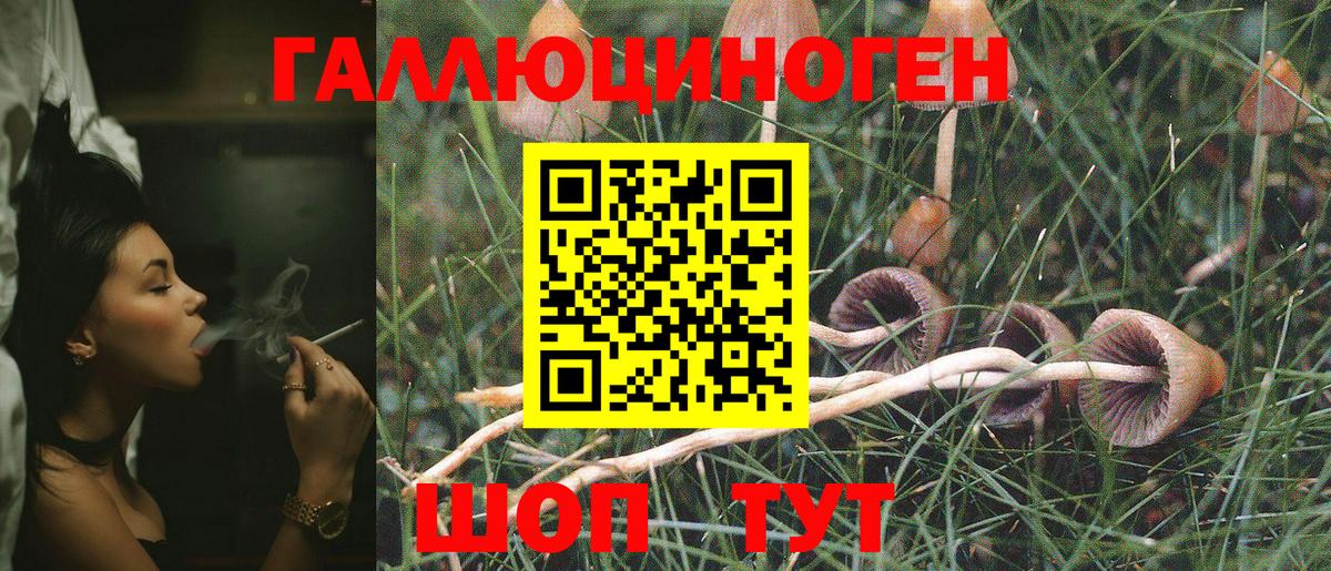 Галлюциногенные грибы мухоморы Георгиевск