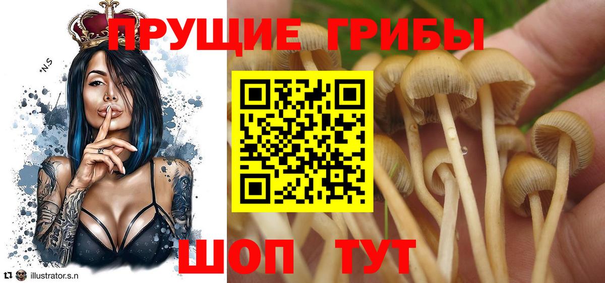 Кокаин  ГАШ  Марихуана  Alpha-PVP СОЛЬ   Купить закладку  Меф МЯУ МЯУ   Георгиевск  Мефедрон  