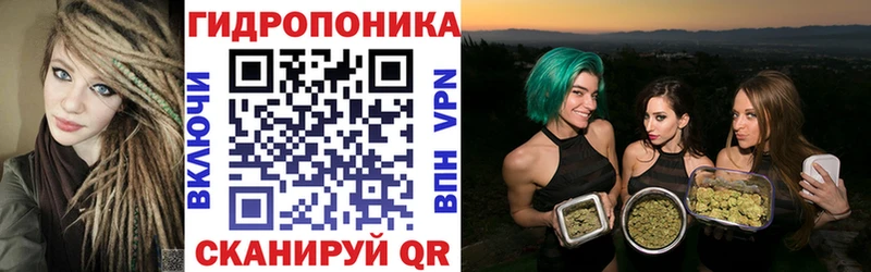 наркотики  Георгиевск  Шишки марихуана OG Kush 